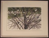 Evy&nbsp;Låås:&nbsp;&nbsp;Vinterskator&nbsp;&nbsp;(1756)