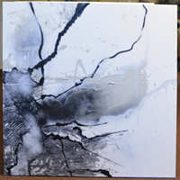 Camilla&nbsp;Boström:&nbsp;&nbsp;Suffer the Consequences or Enjoy the Benefits&nbsp;&nbsp;(5478)